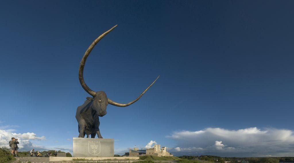 Скульптура тура