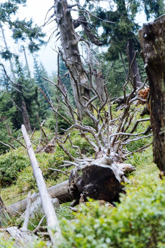 Карконошеский национальный парк