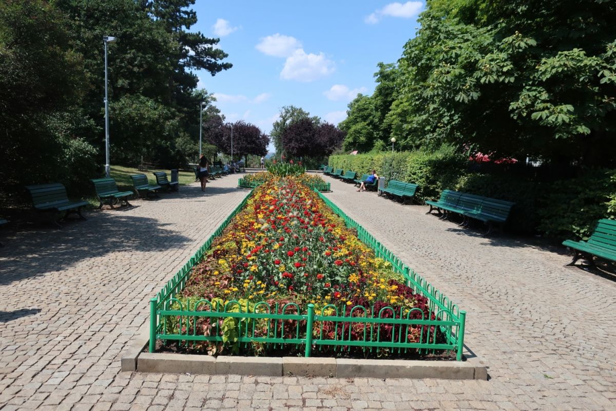 Ригровы сады