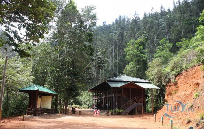 Лесной заповедник Синхараджа