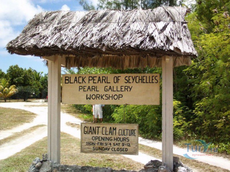 Ферма Чёрная Жемчужина Сейшел