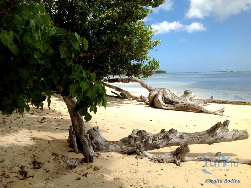 Пляж Анс-о-Пен и бухта Тартл